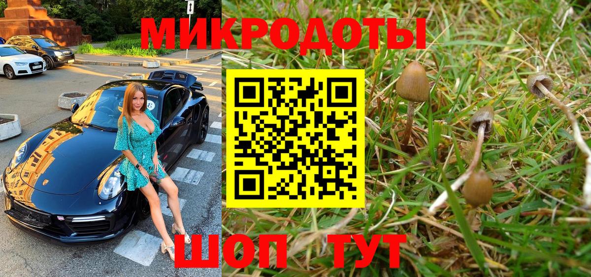 Галлюциногенные грибы MAGIC MUSHROOMS Майский